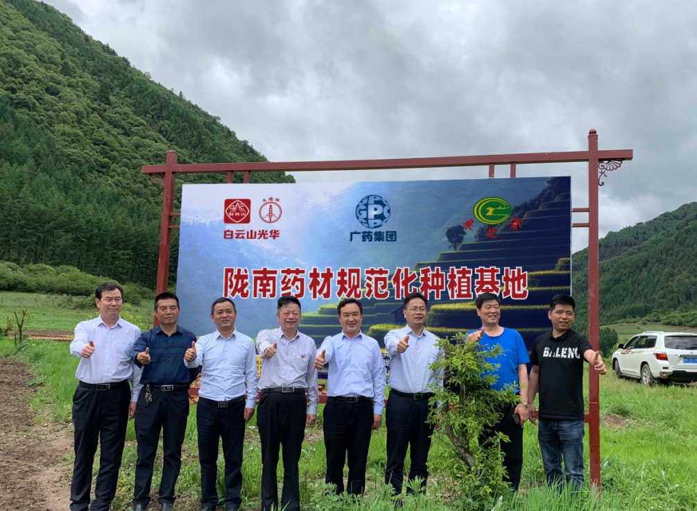 药材好，药才好 ——白云山幼柴胡颗粒北柴胡规范化种植基地正式揭牌！