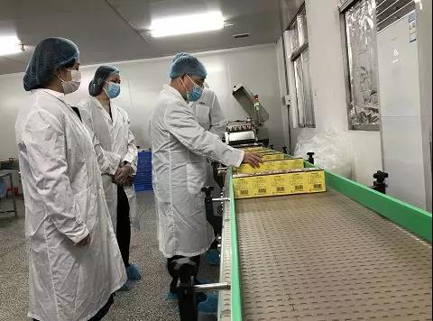 同心抗疫，确保质量！pp电子公司振隆厂表车间接受广药集团出产监督保险幼组工作督导