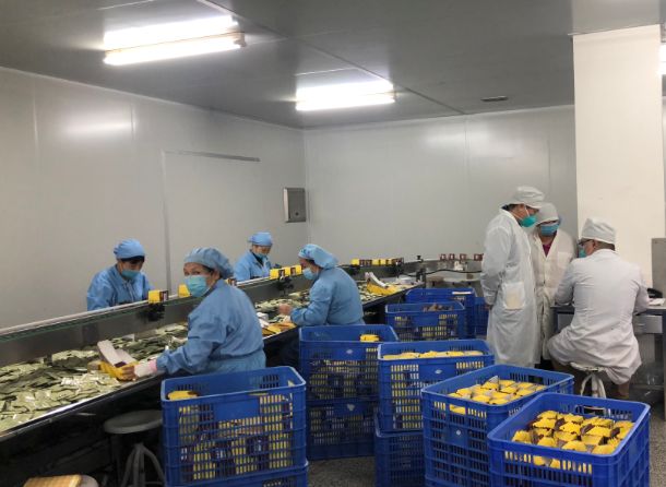 【初心如磐，使命在肩】pp电子第三党支部组织员工提前复工保险出产