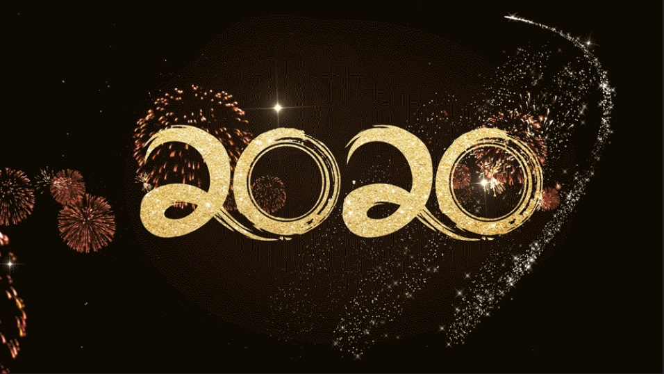 2020年白云山pp电子公司十件大事